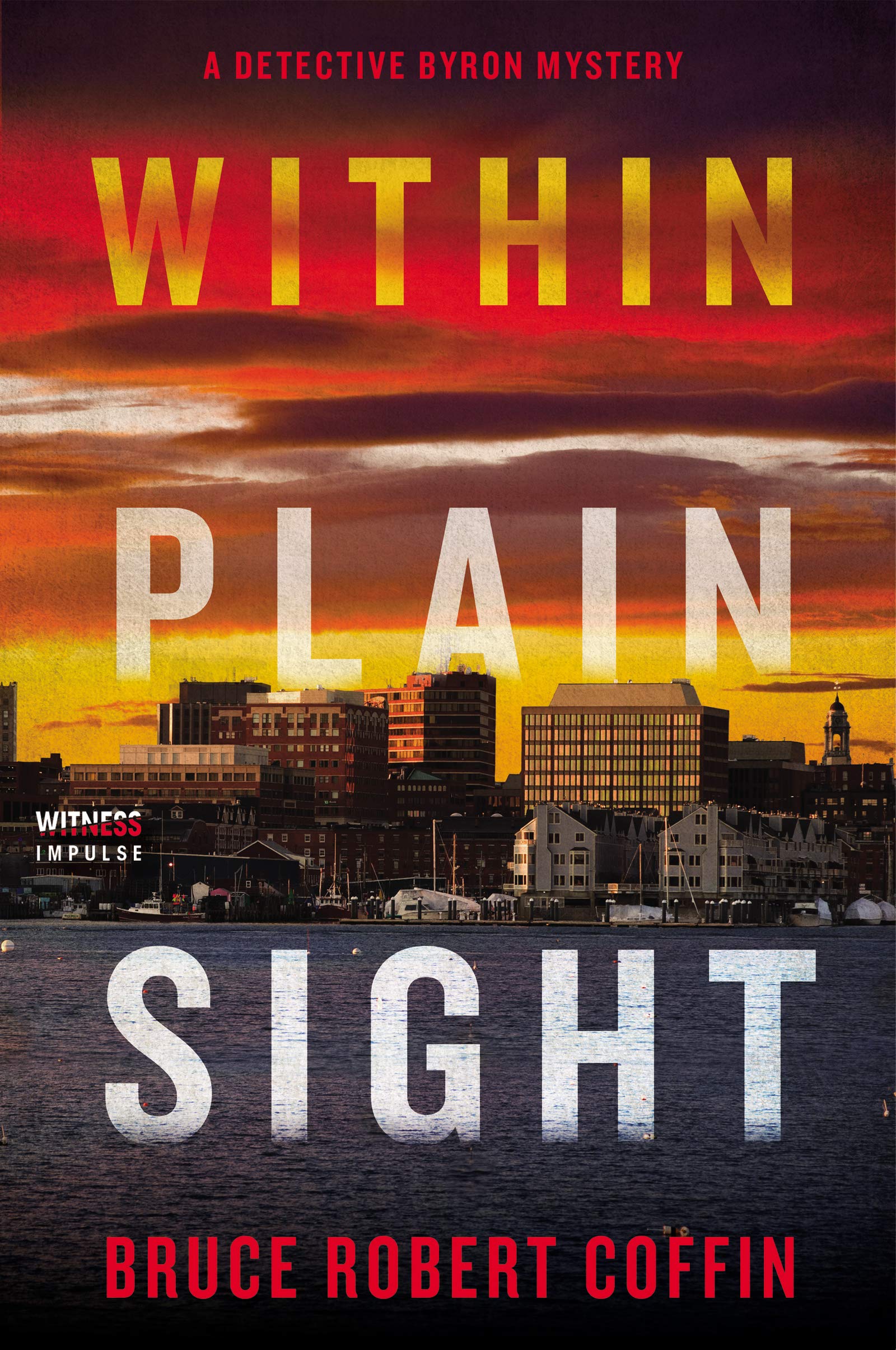 Within Plain Sight book cover