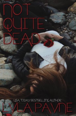 Lowcountry Mysteries book cover 1