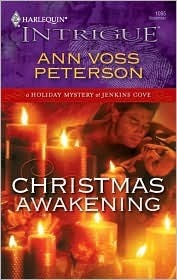 A Holiday Mystery At Jenkins Cove book cover 2