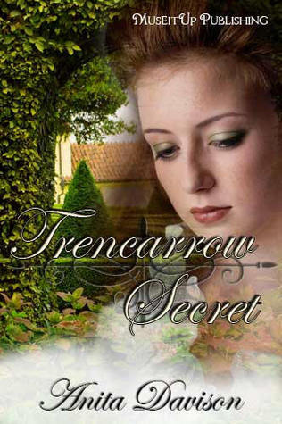 Trencarrow Secret book cover