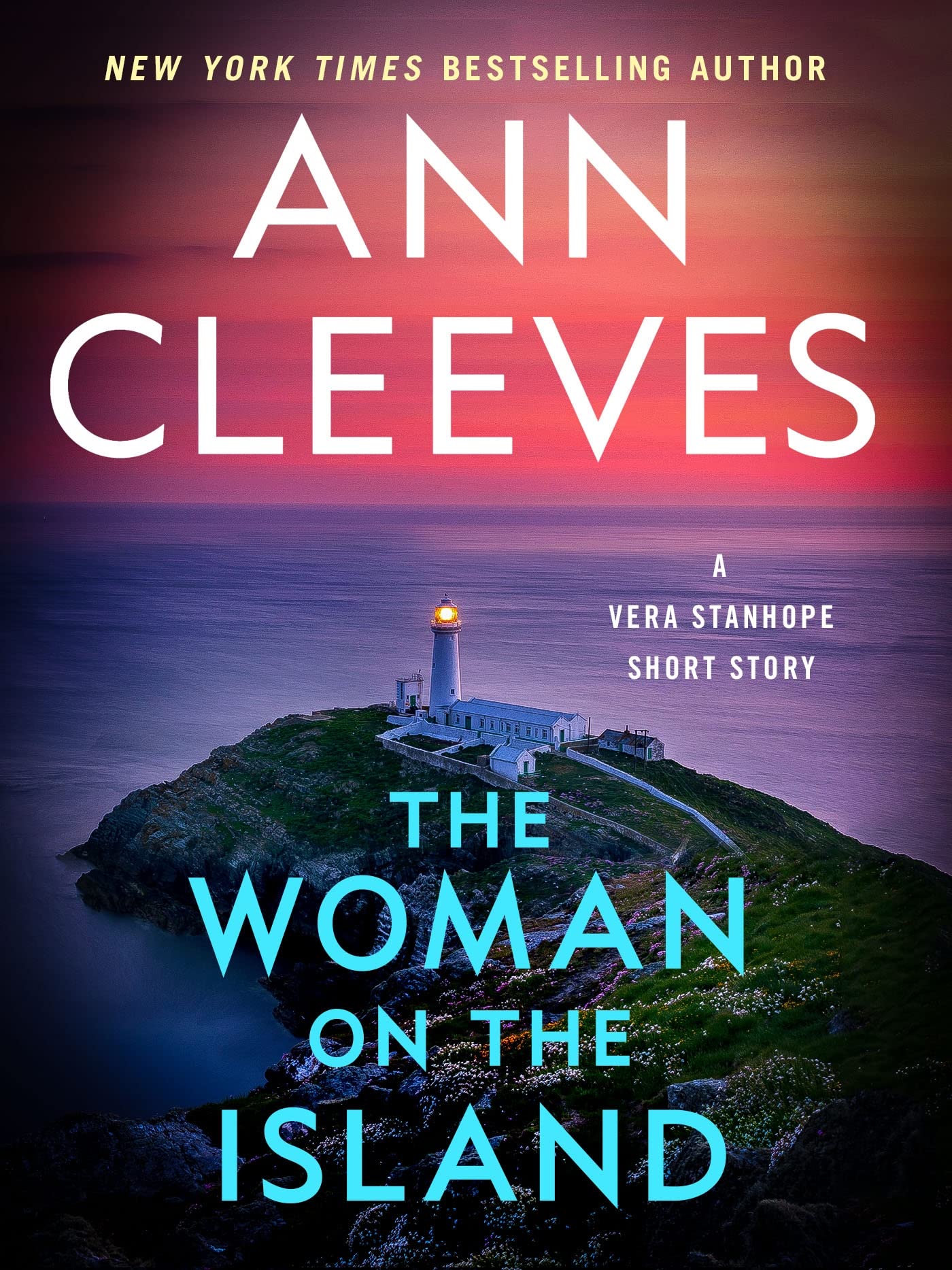 The Woman on the Island book cover
