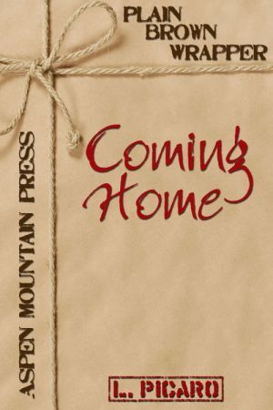 Plain Brown Wrapper book cover