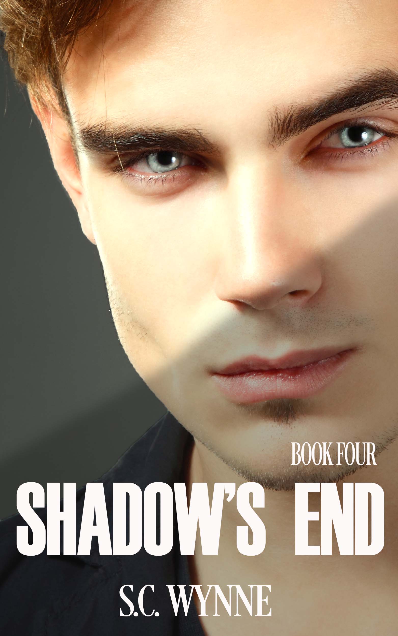 Shadow's End book cover