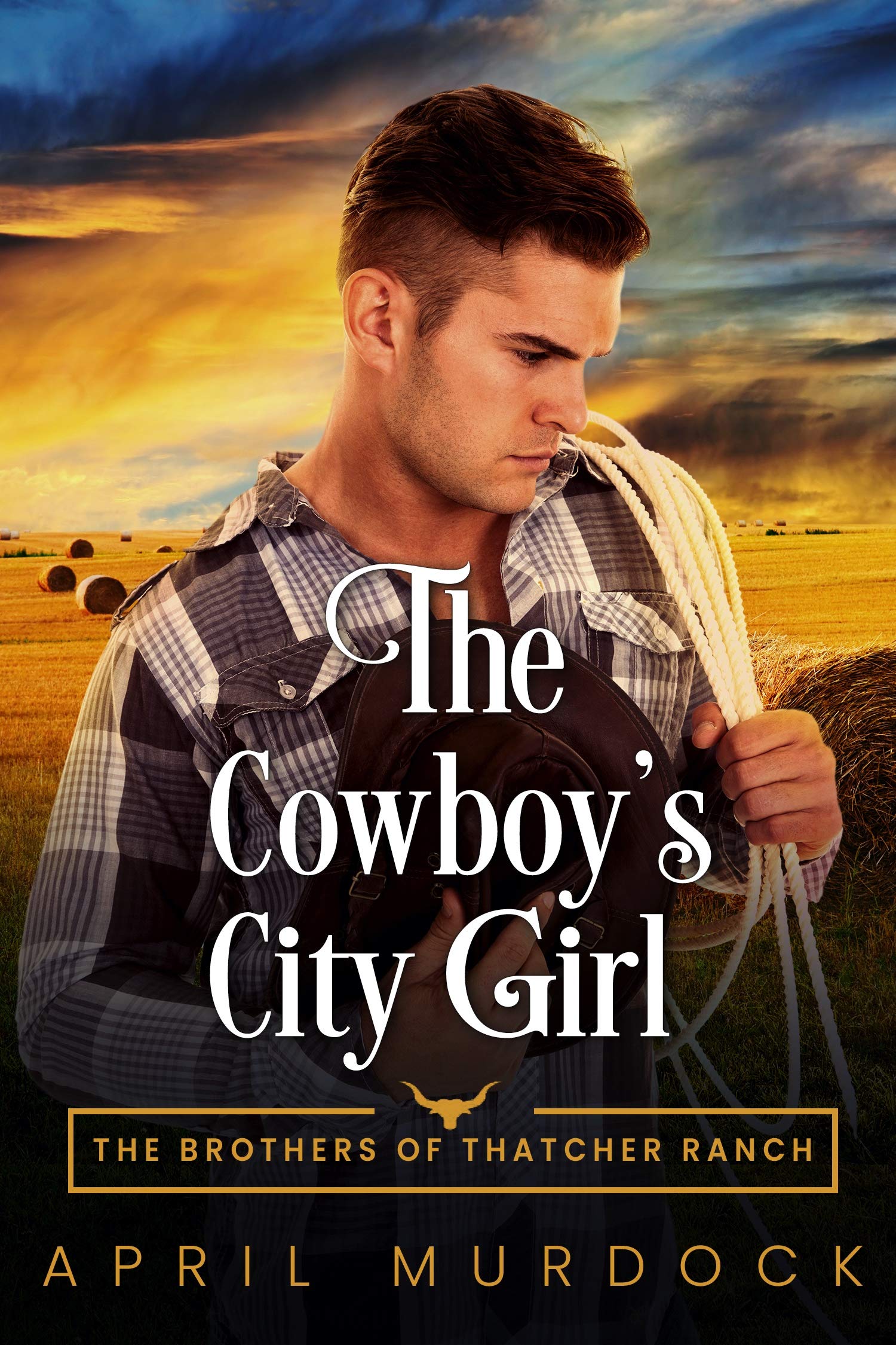 The Brothers of Thatcher Ranch book cover 2