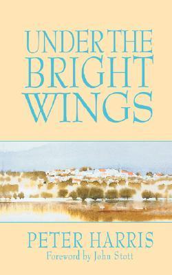 Under the Bright Wings book cover
