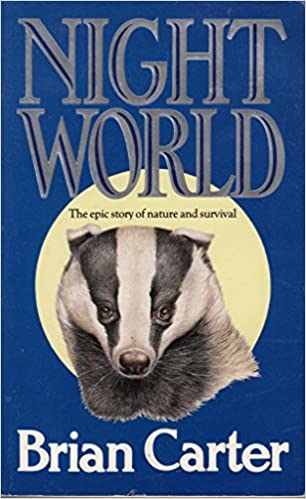 Nightworld book cover