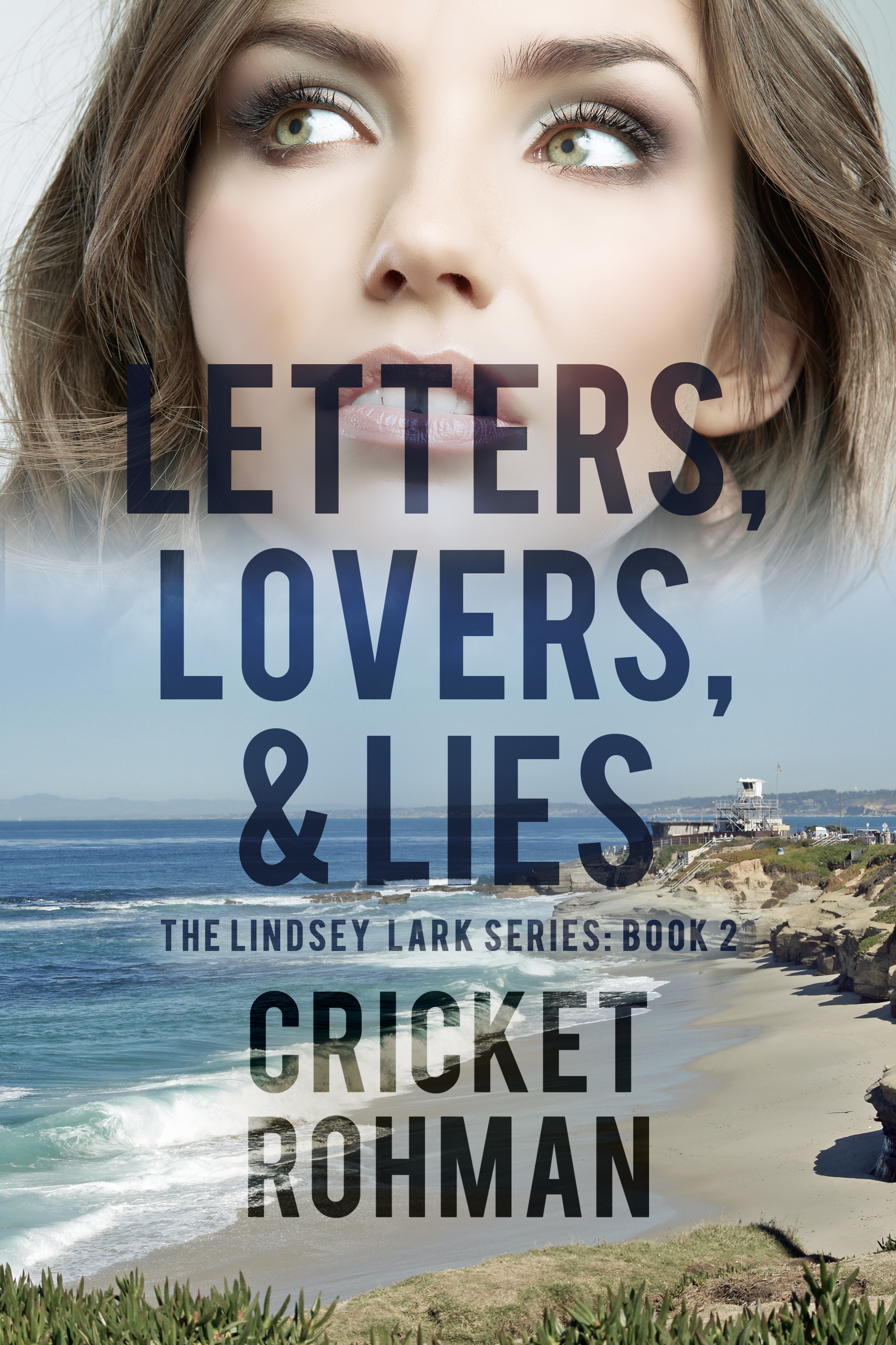 Lindsey Lark book cover 2