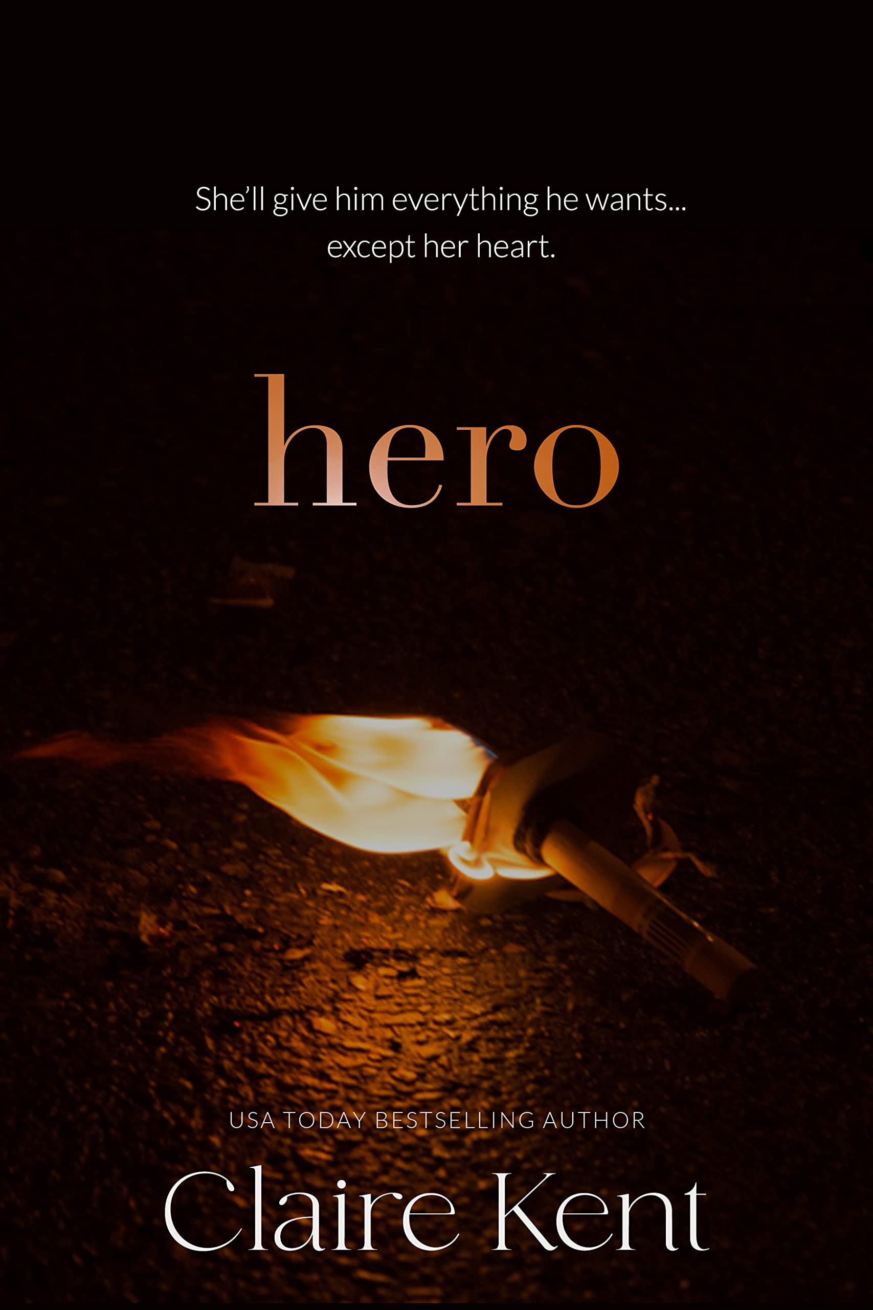 Hero book cover