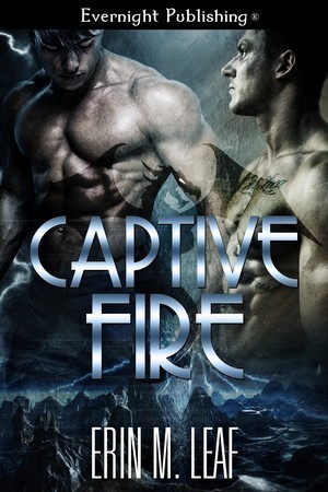 Captive Fire book cover