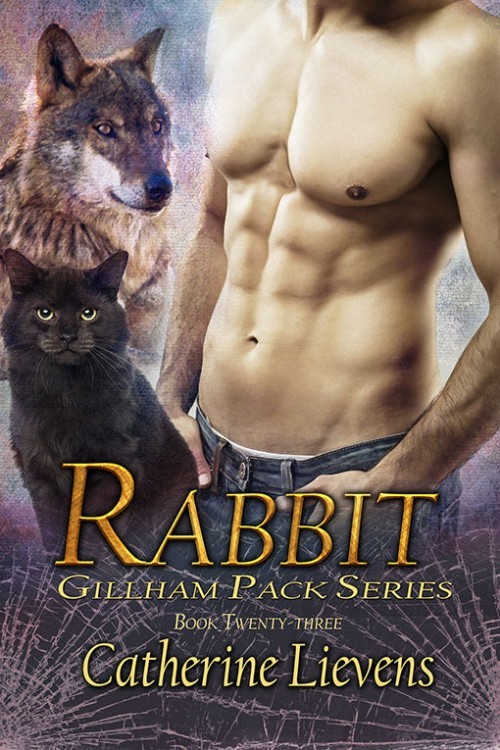 Rabbit book cover