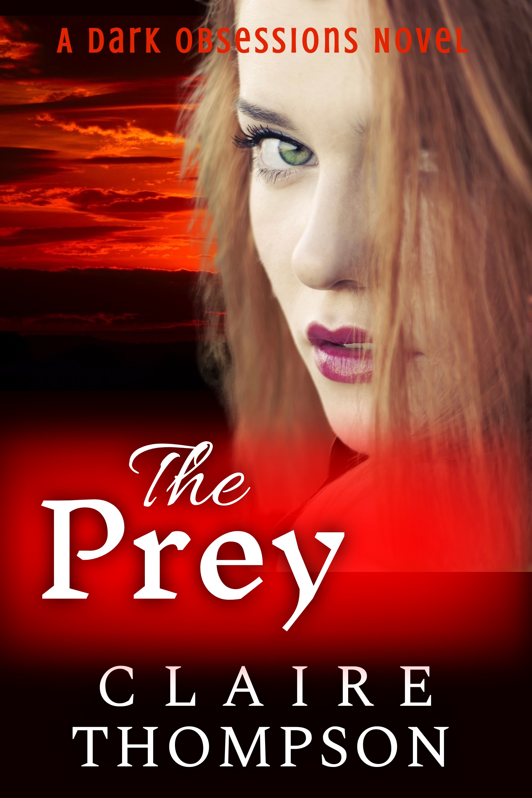 Hunted book cover