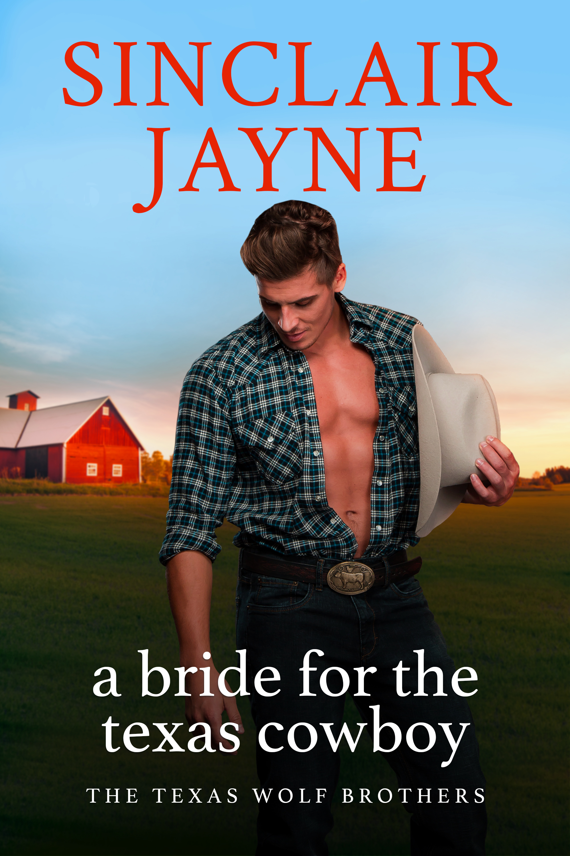 The Texas Wolf Brothers book cover 2