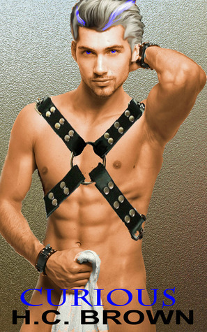 Club Floggers book cover 3