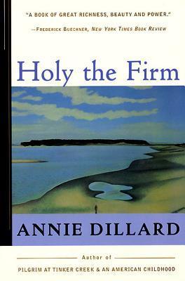 Holy the Firm book cover