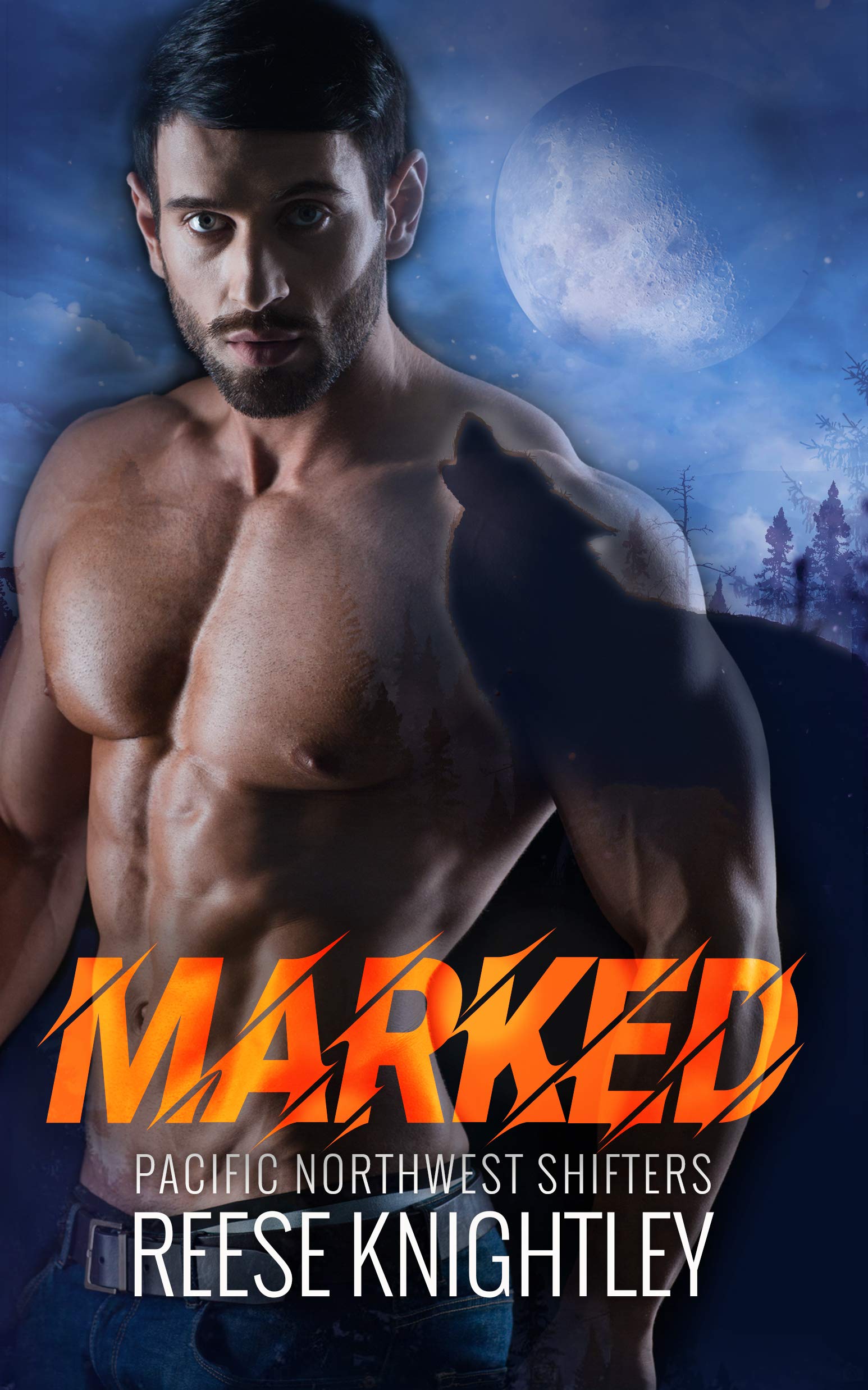 Pacific Northwest Shifters book cover 3