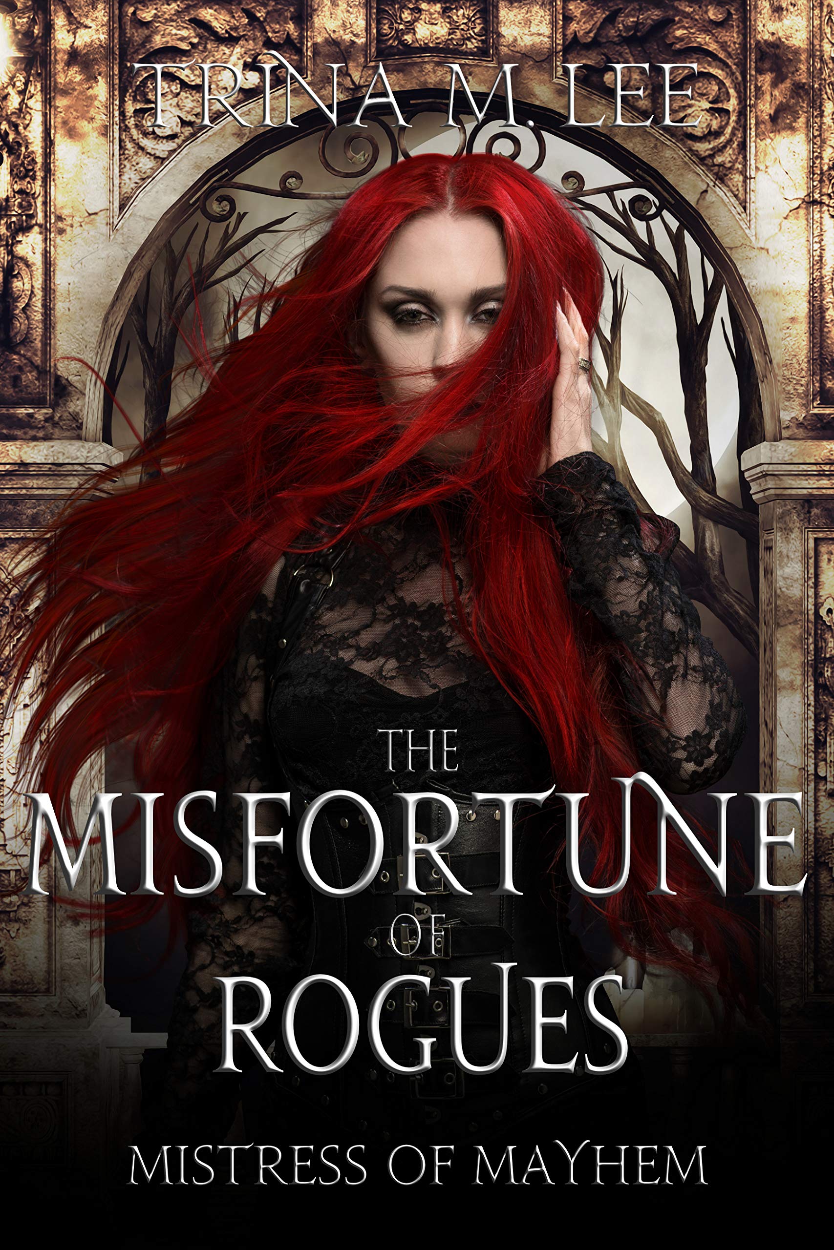 The Misfortune of Rogues book cover