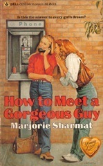 How to Meet a Gorgeous Guy book cover