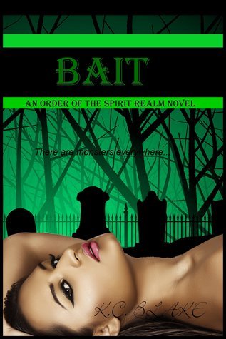 Order of the Spirit Realm book cover 1