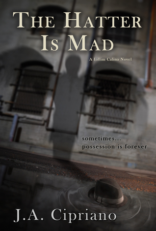 Hatter is Mad book cover