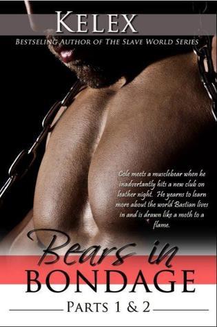 Bears in Bondage book cover