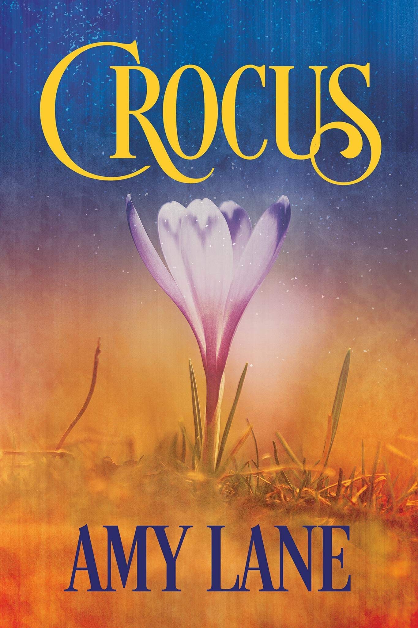 Bonfires book cover 2