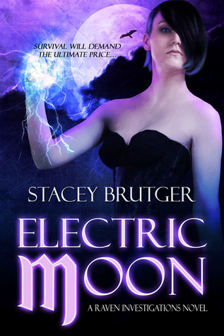 Raven Investigations book cover 2