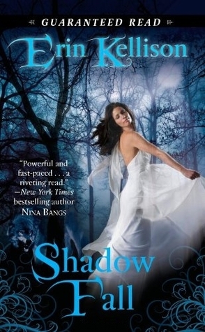 Shadow book cover 2
