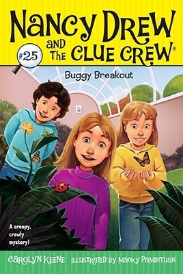 Buggy Breakout book cover