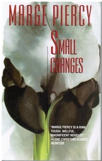 Small Changes book cover