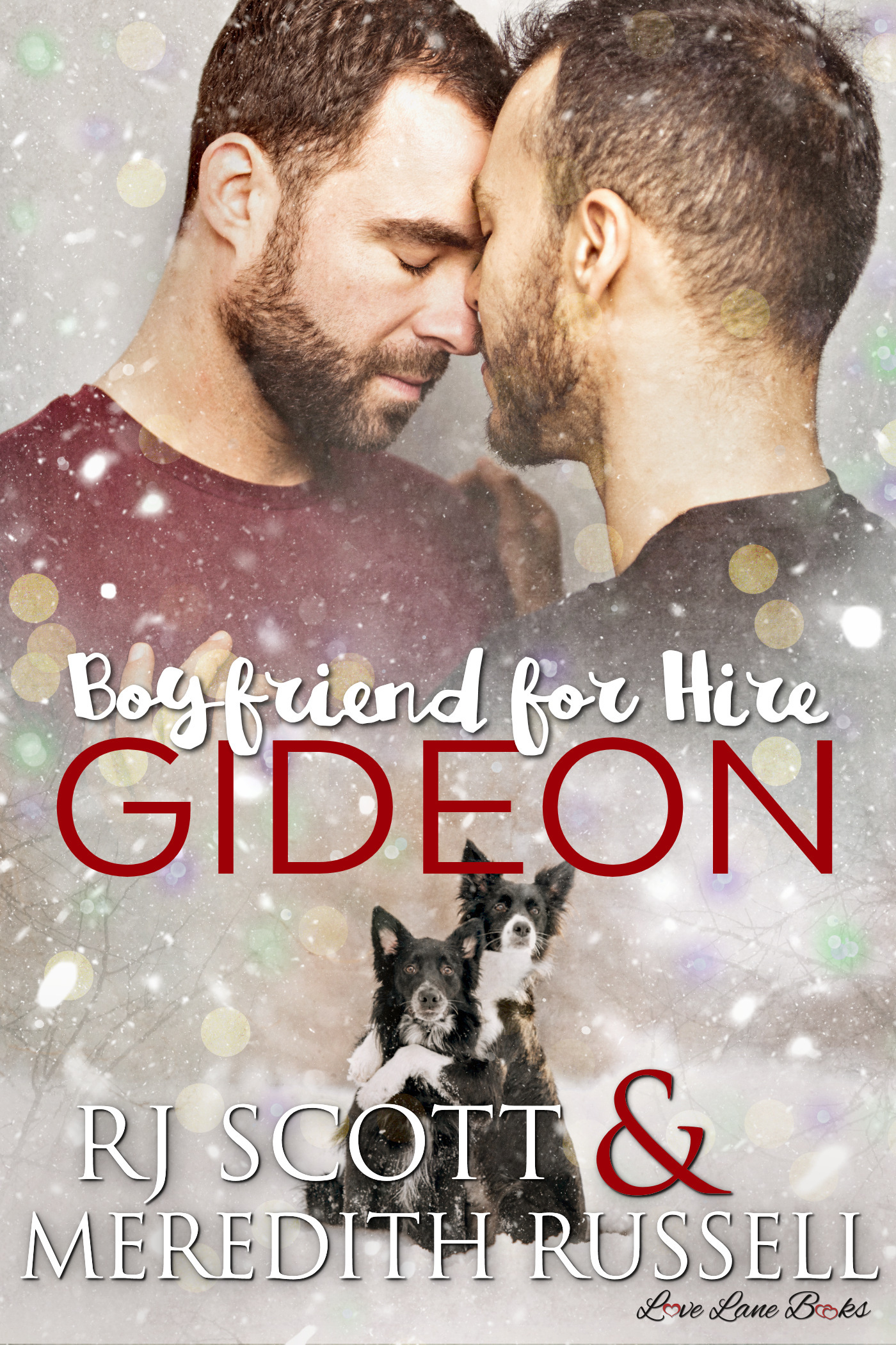 Boyfriend for Hire book cover 3
