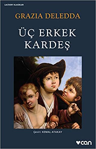 Üç Erkek Kardeş book cover