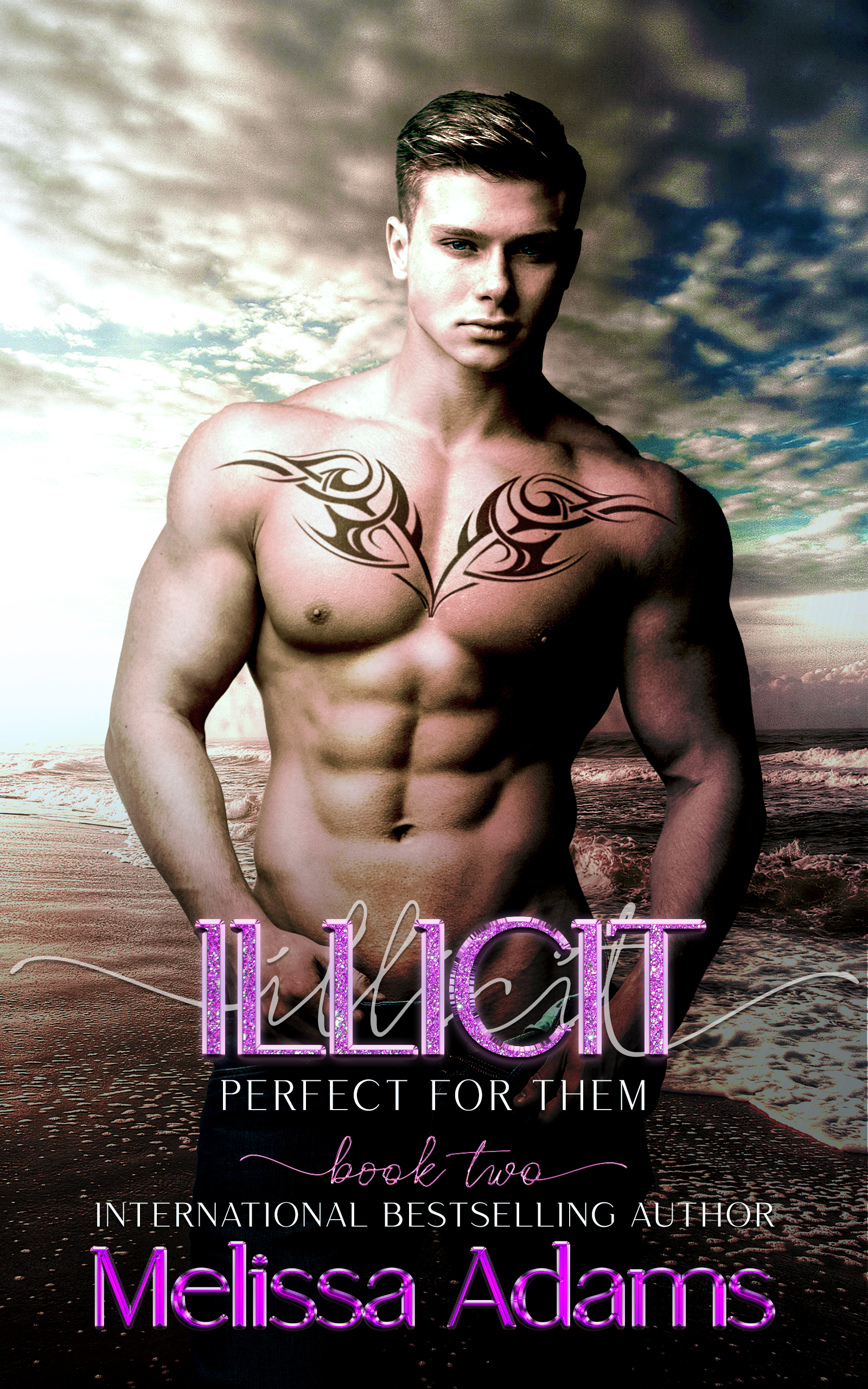 Illicit book cover