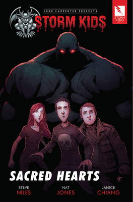 Storm Kids book cover