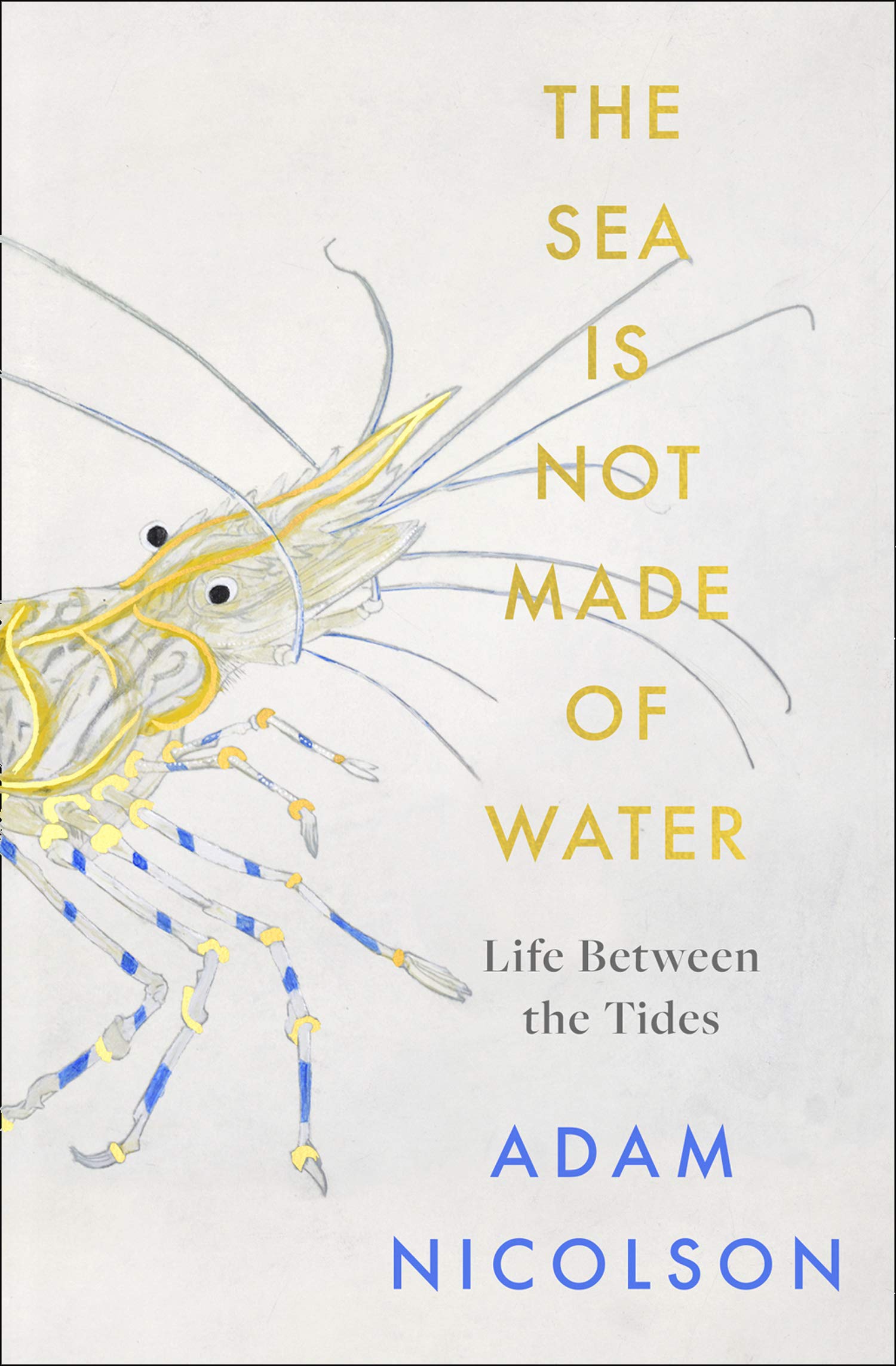 The Sea Is Not Made of Water book cover
