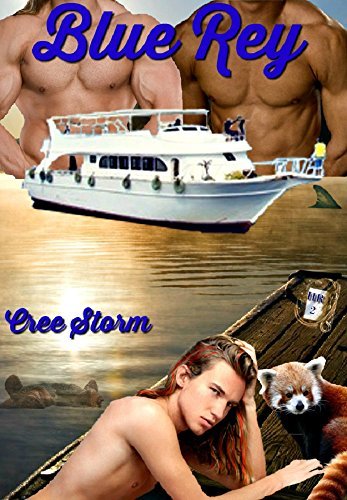 Haven Ranch book cover 2