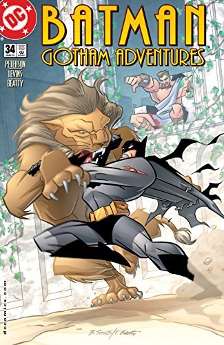 Batman book cover