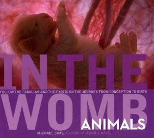 In the Womb book cover