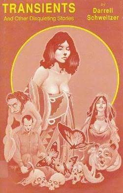 Transients and Other Disquieting Stories book cover
