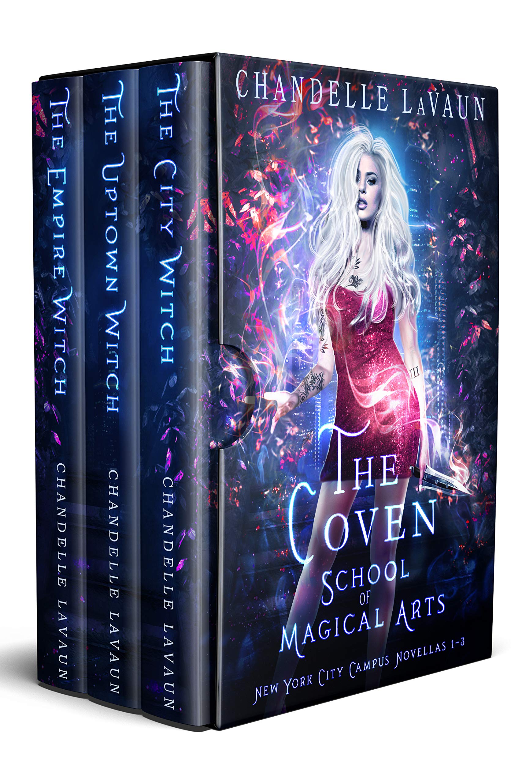 School of Magical Arts book cover