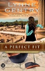A Perfect Fit book cover