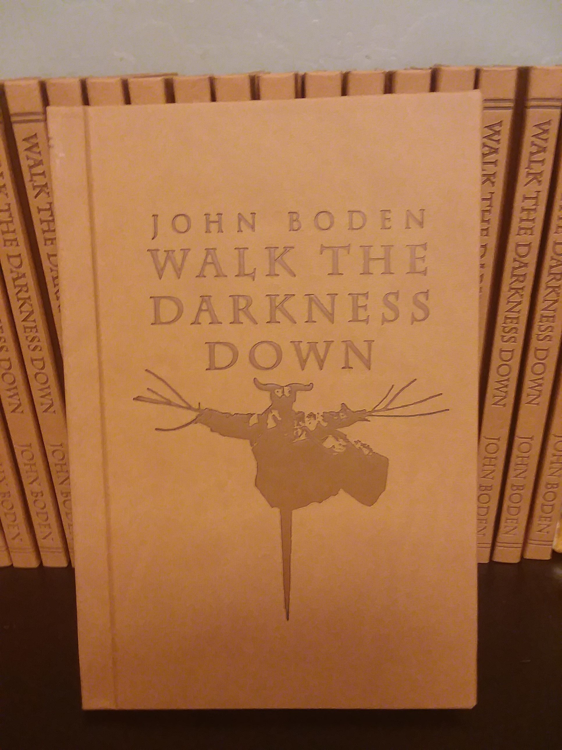 Walk The Darkness Down book cover