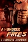 Fire and Ice book cover 2