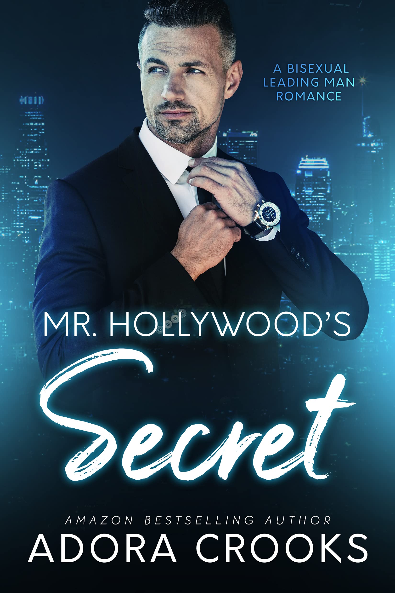 Mr. Hollywood's Secret book cover