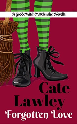 Forgotten Love book cover