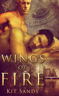 Wings of Fire book cover