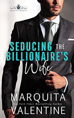 Seducing the Billionaire book cover 1