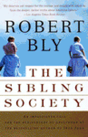 The Sibling Society book cover