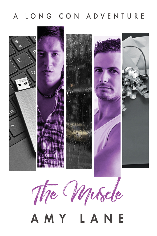 The Long Con book cover 2
