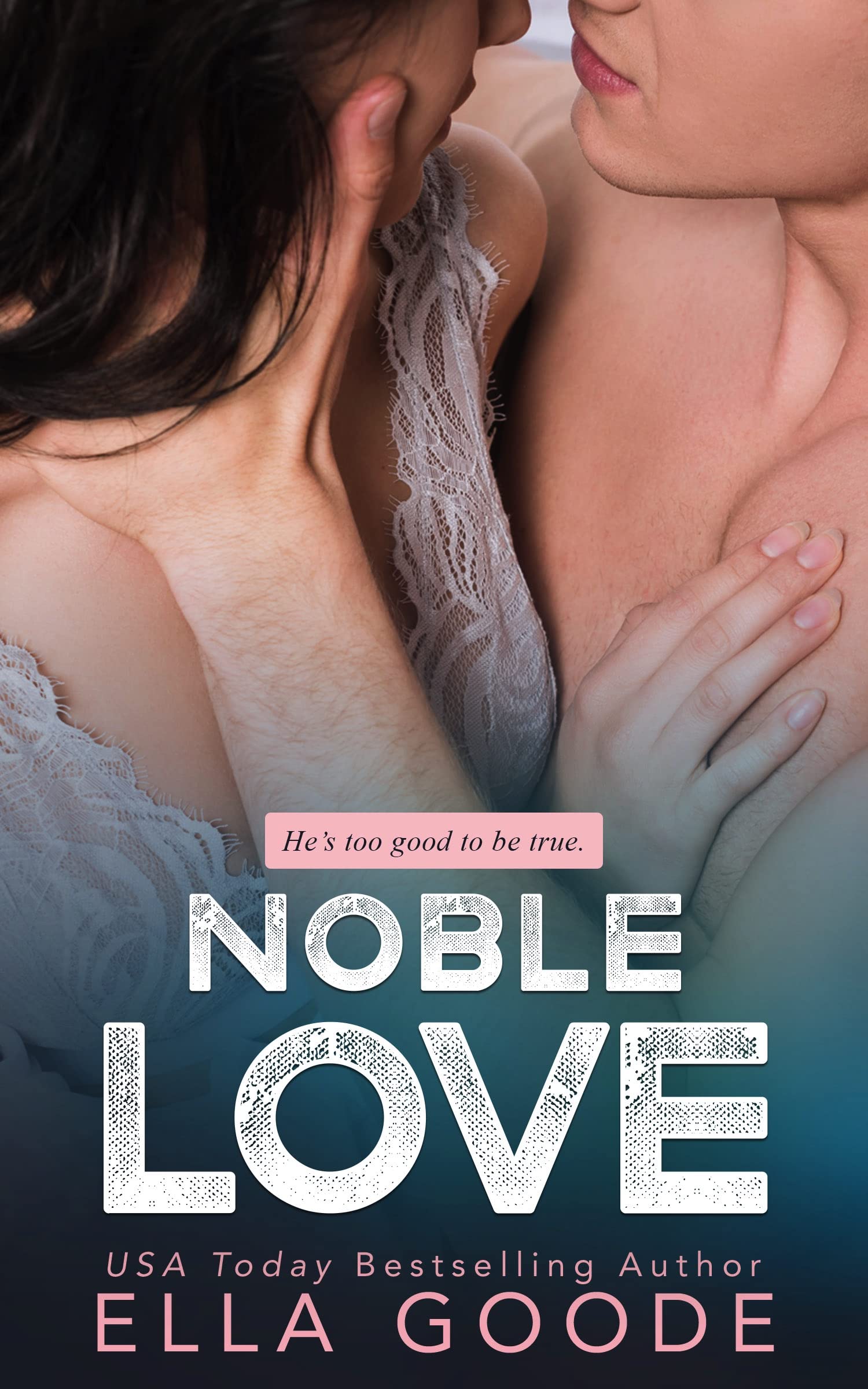 Noble Love book cover