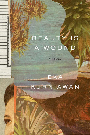 Beauty Is a Wound book cover